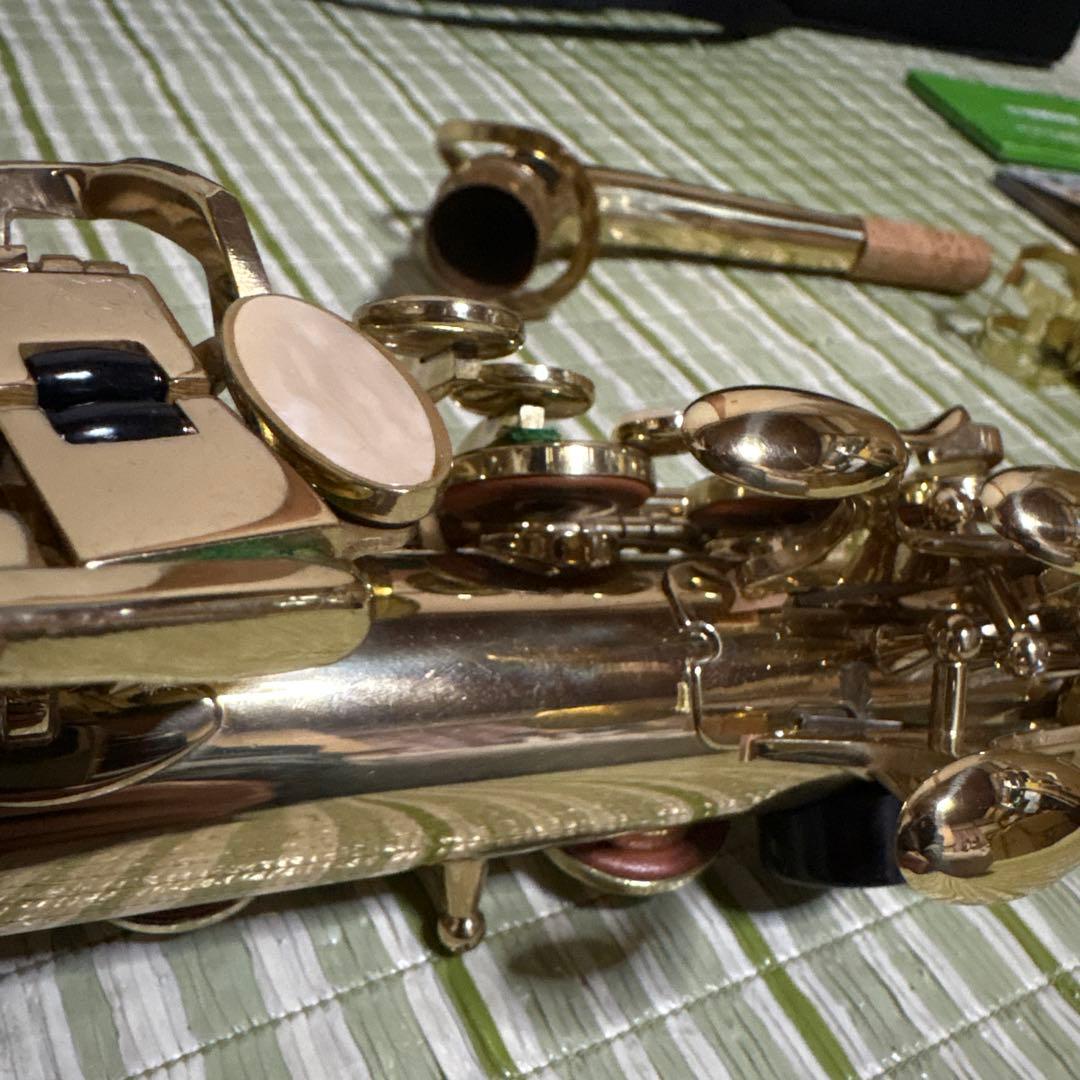 SELVA セルバ アルトサックス SAS-100 ケース付き　管楽器　音楽