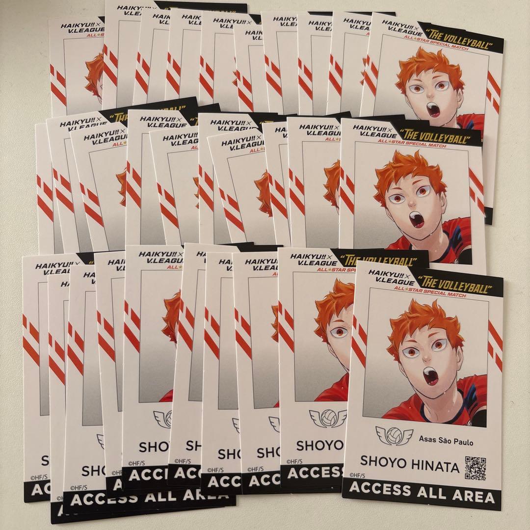 ハイキュー Vリーグ　IDイメージカード 日向翔陽 30枚セット