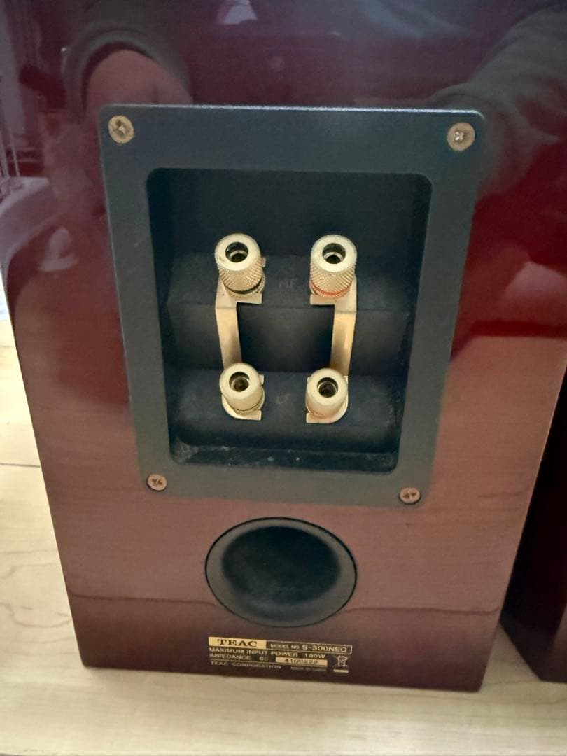 TEAC コアキシャル2ウェイスピーカーシステム S-300NEO