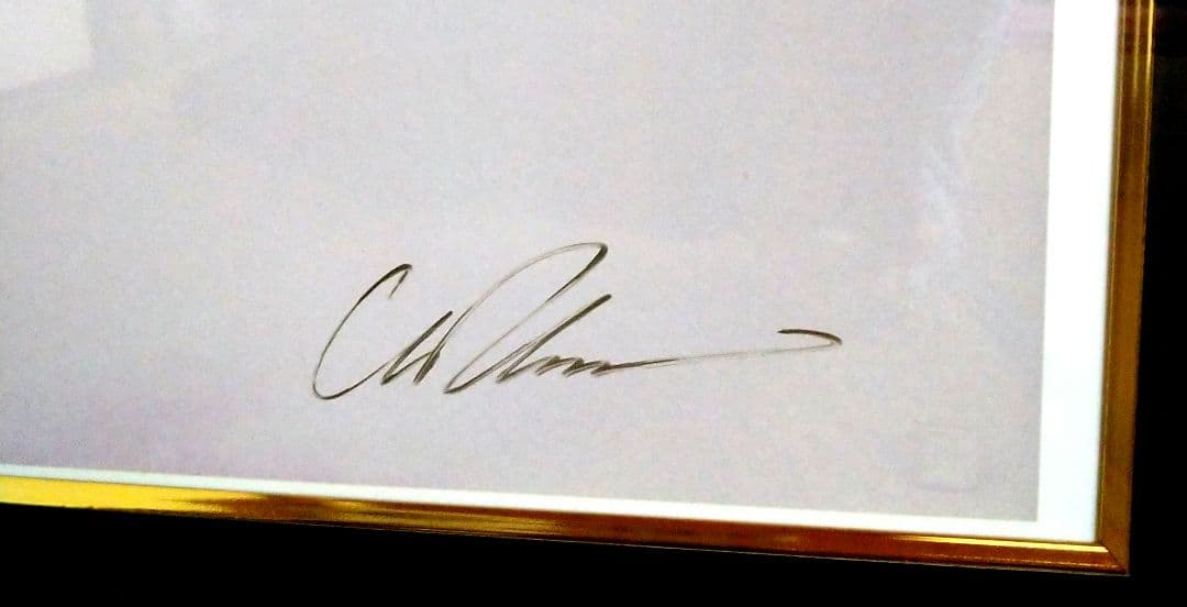 ラッセン版画　ドルフィン