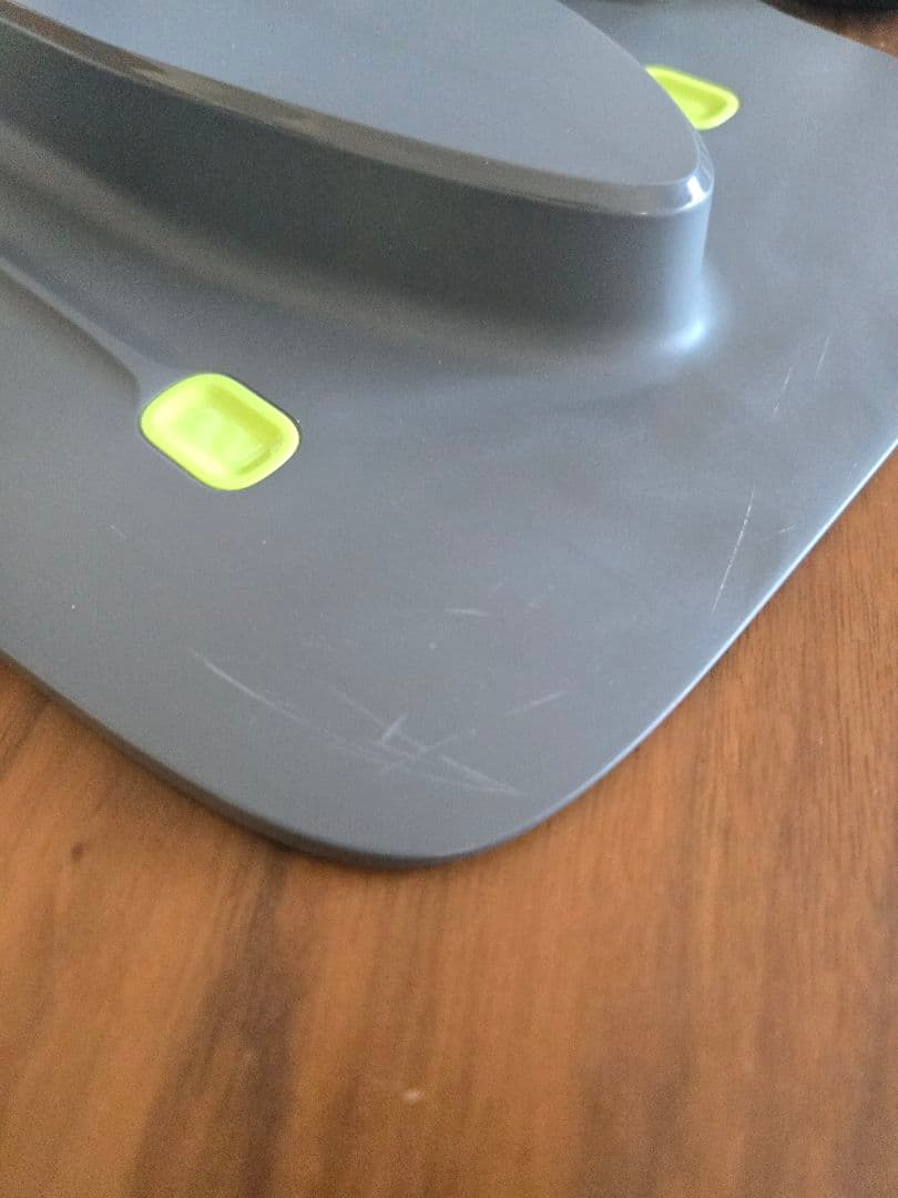 Loona ルーナ ペットロボット 箱あり