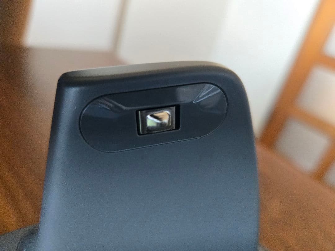 Loona ルーナ ペットロボット 箱あり