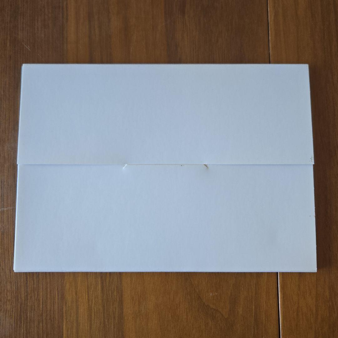 Loona ルーナ ペットロボット 箱あり