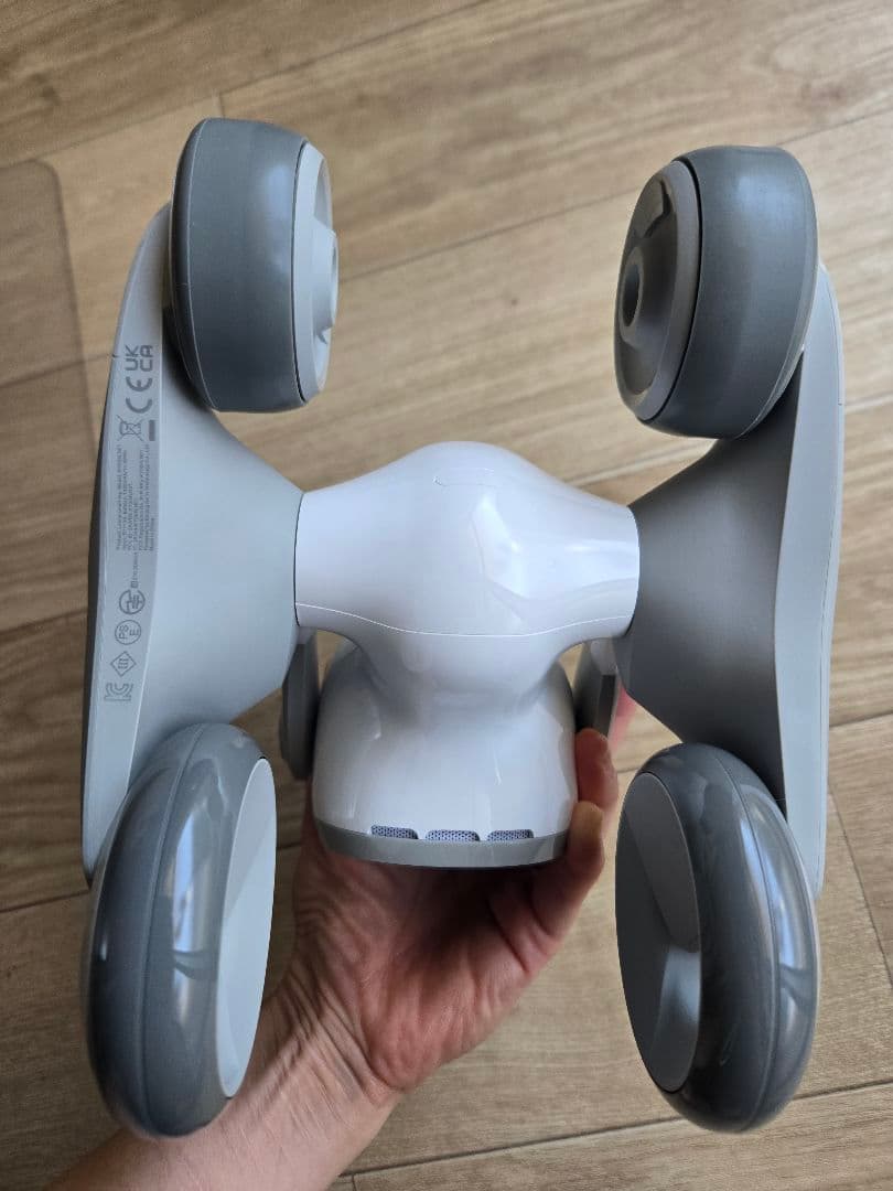 Loona ルーナ ペットロボット 箱あり