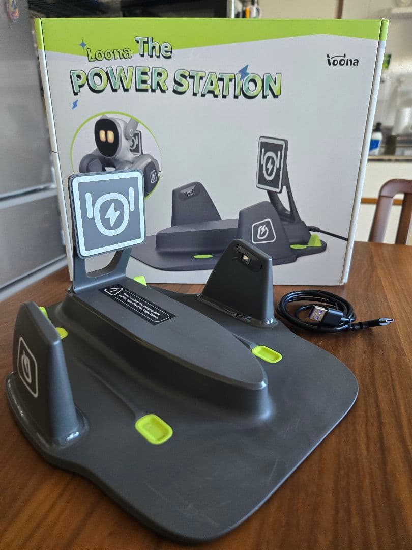 Loona ルーナ ペットロボット 箱あり