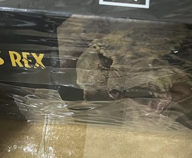 少年リック　限定版　エクスプラス　ティラノサウルス　プラモデル　1/35