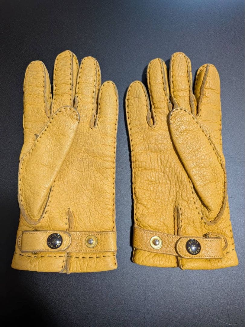 DENTS ペッカリーグローブ（カシミヤライニング）