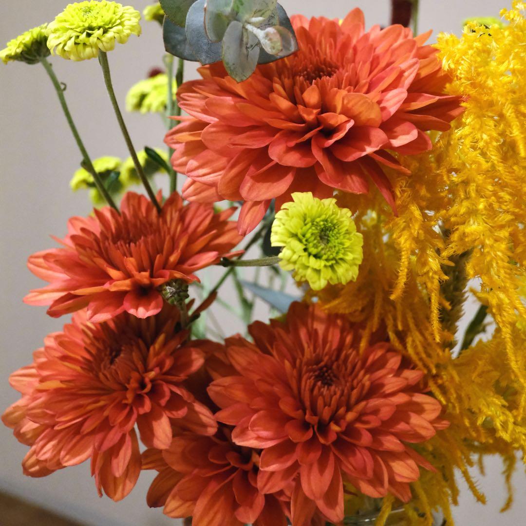 XF18mmF2 R 単焦点レンズ