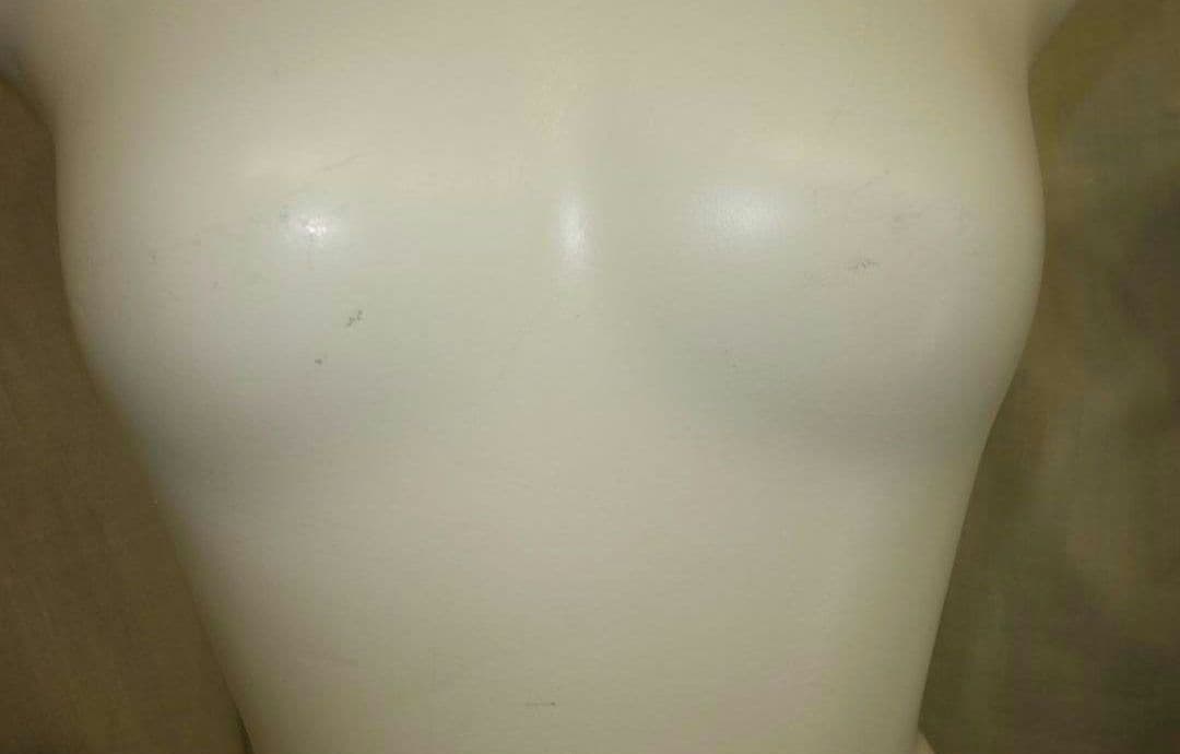 （2体セット）レディースマネキン リアルマネキン トルソー 服飾 ２体セット