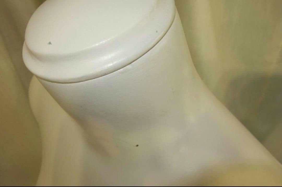 （2体セット）レディースマネキン リアルマネキン トルソー 服飾 ２体セット