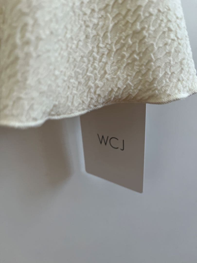 【最終】水陸両用 WCJ スイムタウンTOPS