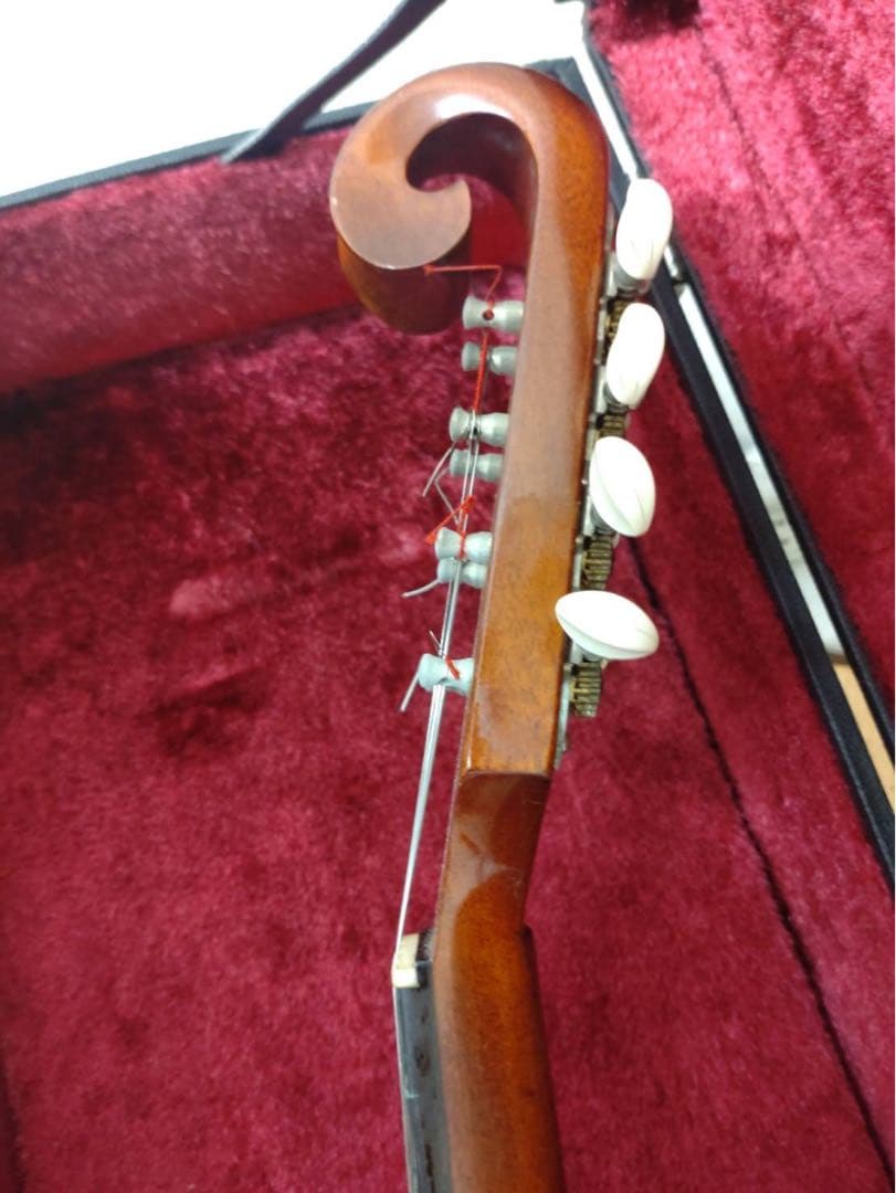 野口實　マンドリン 1985年製造