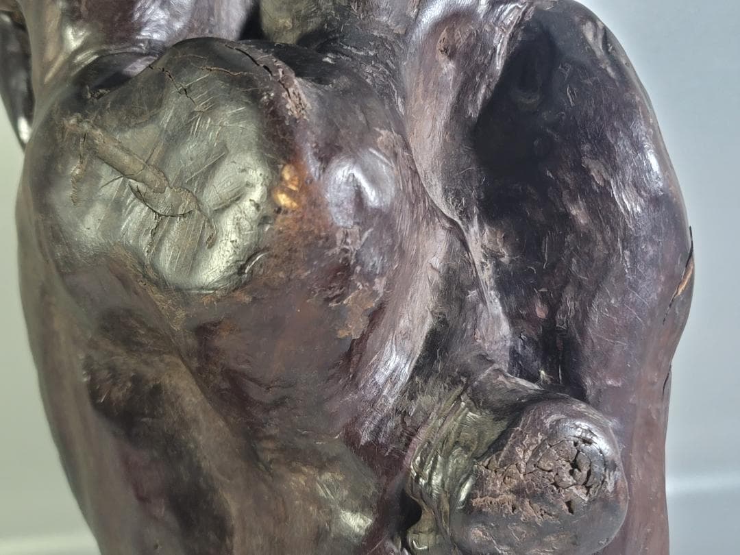 中国美術 龍眼木 彫刻 羅漢 置物 DT375