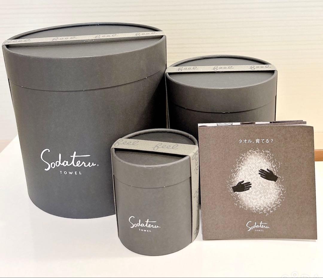 【新品未使用】育てるタオル feel ムーングレージュ3点セット　箱無し発送