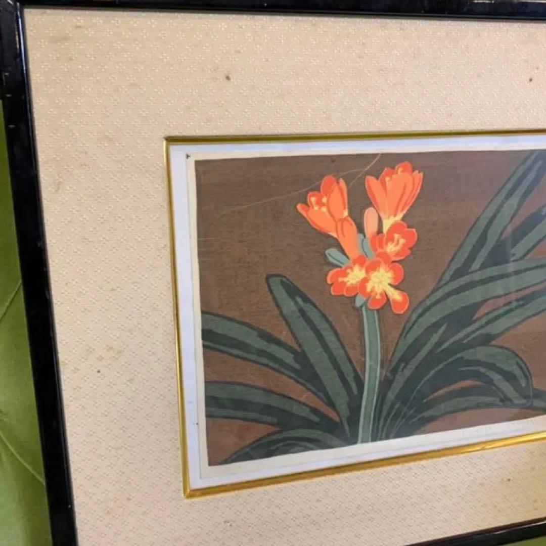 t.hidaka 1982.3月　君子蘭