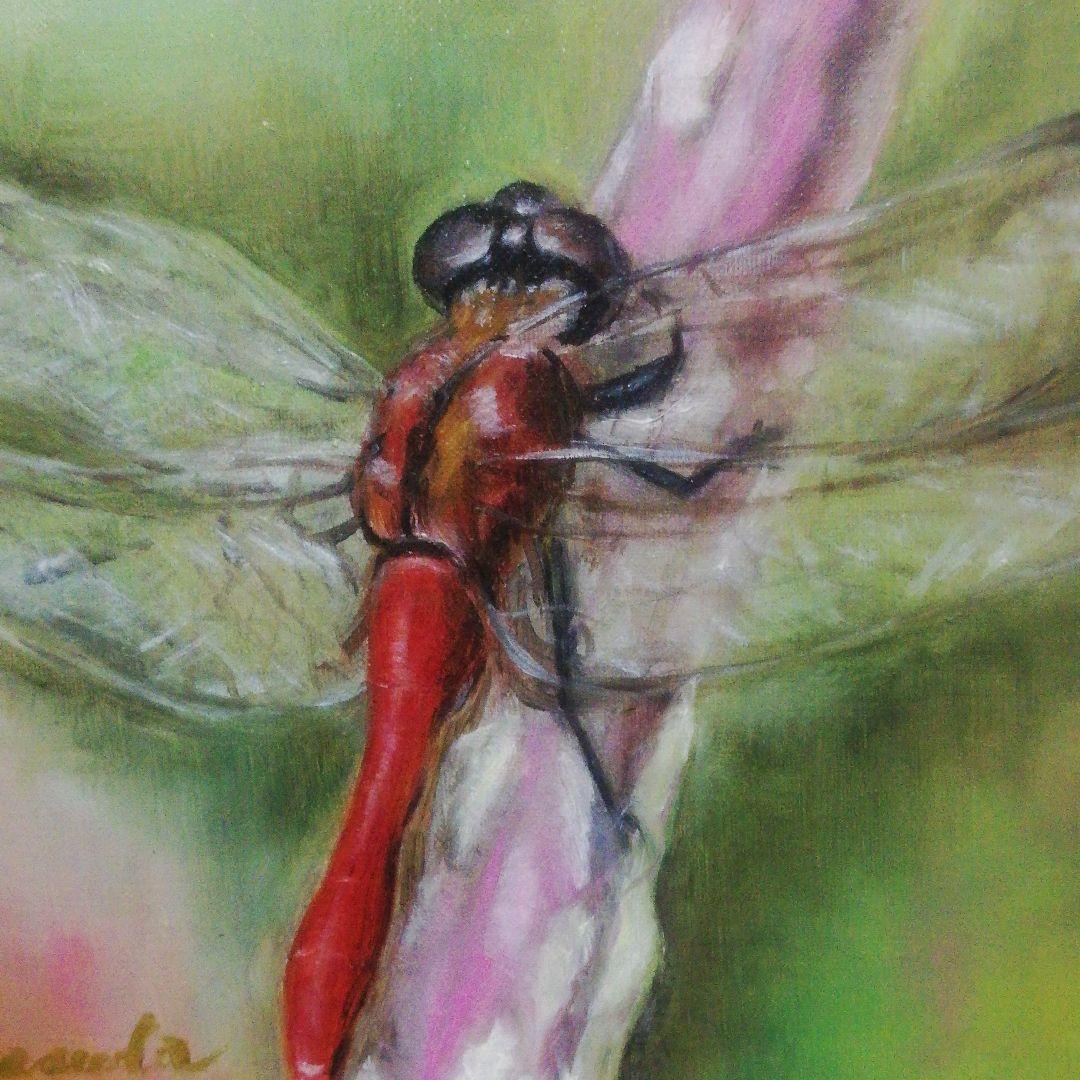 額つき❗しあわせのトンボ