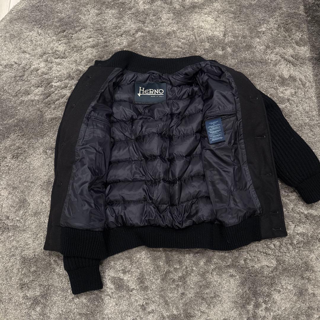 HERNO シルクカシミア×ローゲージカシミアスタンドカラーコンビダウン