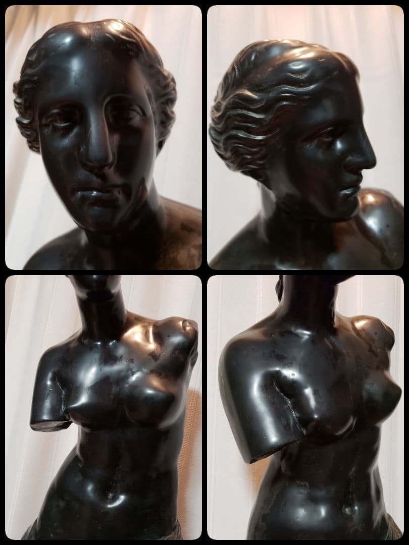 圧巻✧60kg！天然那智黒石 特大ミロのヴィーナス像