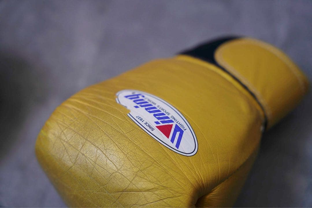 レア！！井上尚弥、武尊使用のゴールドwinning 8オンス　ゴールデングローブ