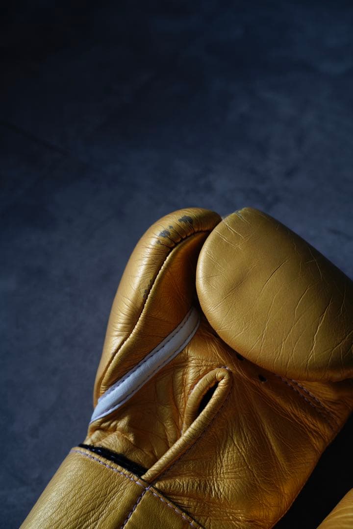 レア！！井上尚弥、武尊使用のゴールドwinning 8オンス　ゴールデングローブ