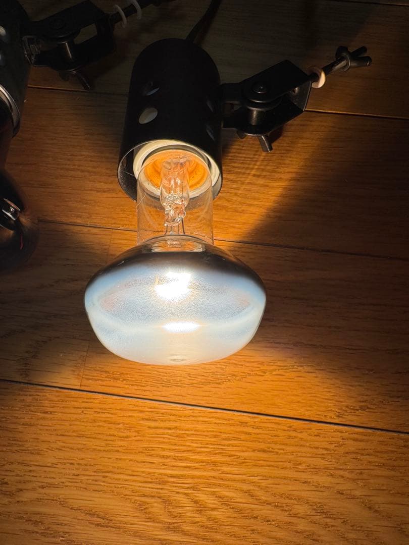 みどり商会 60ケースバイケース