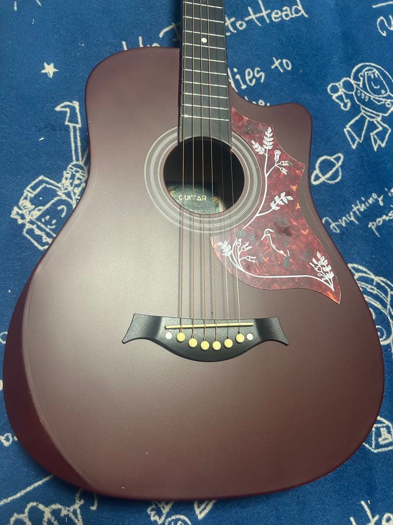 (ミさん専用) 新品　未使用❣️ブラウンcolor アコースティックギター‼️