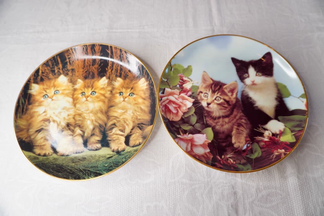 イギリス ヴィンテージ 猫 絵皿 2枚セット コレクションプレート