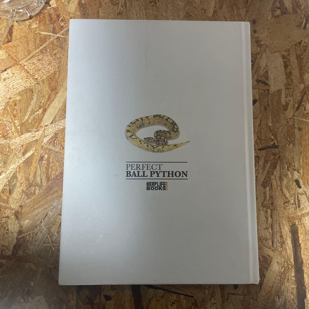 パーフェクトボールパイソン