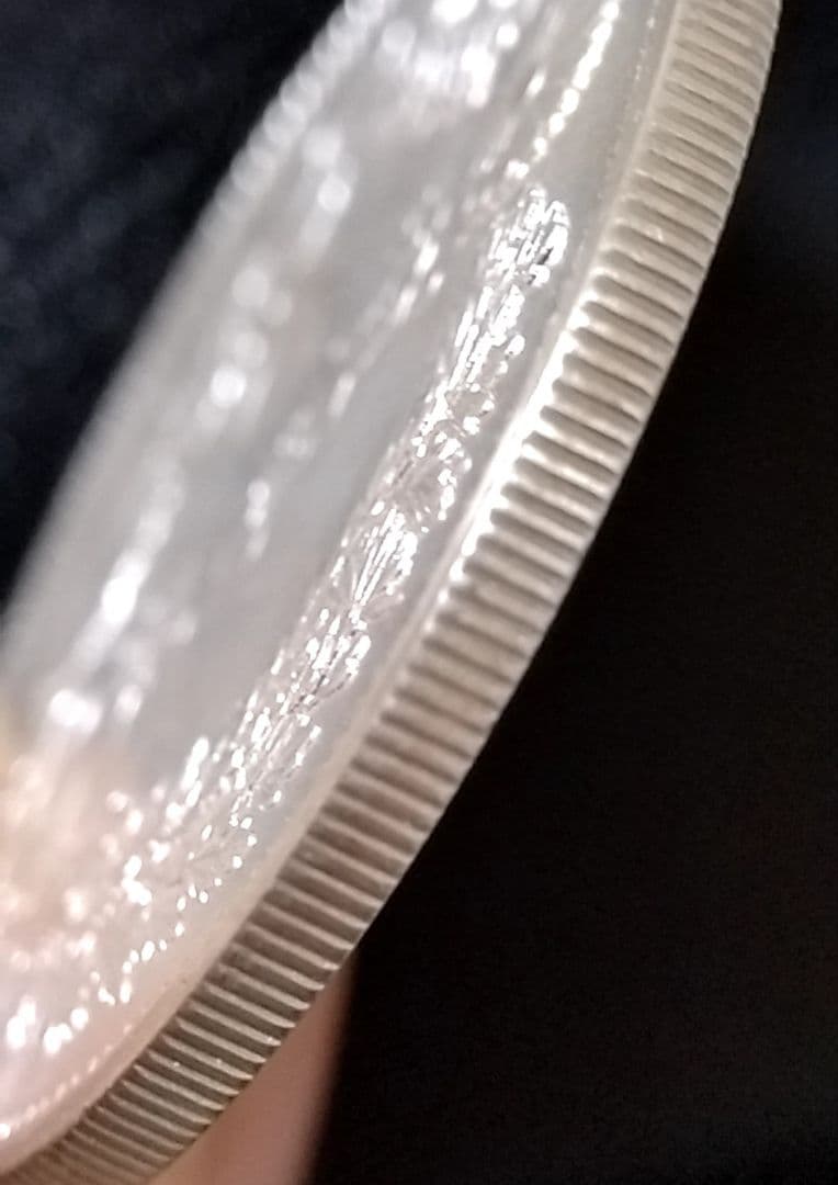 貿易銀 丸銀左打 明治十年 銀貨