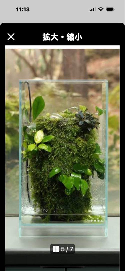 廃盤未使用 ADA Do!aqua プラントグラス 15×15×15