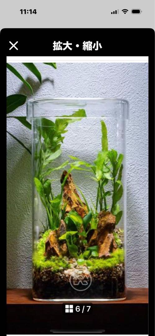 廃盤未使用 ADA Do!aqua プラントグラス 15×15×15