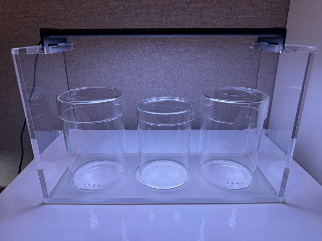 ADA LAB限定 パルダライト+アクリル展示台+ガラスポットMARUセット