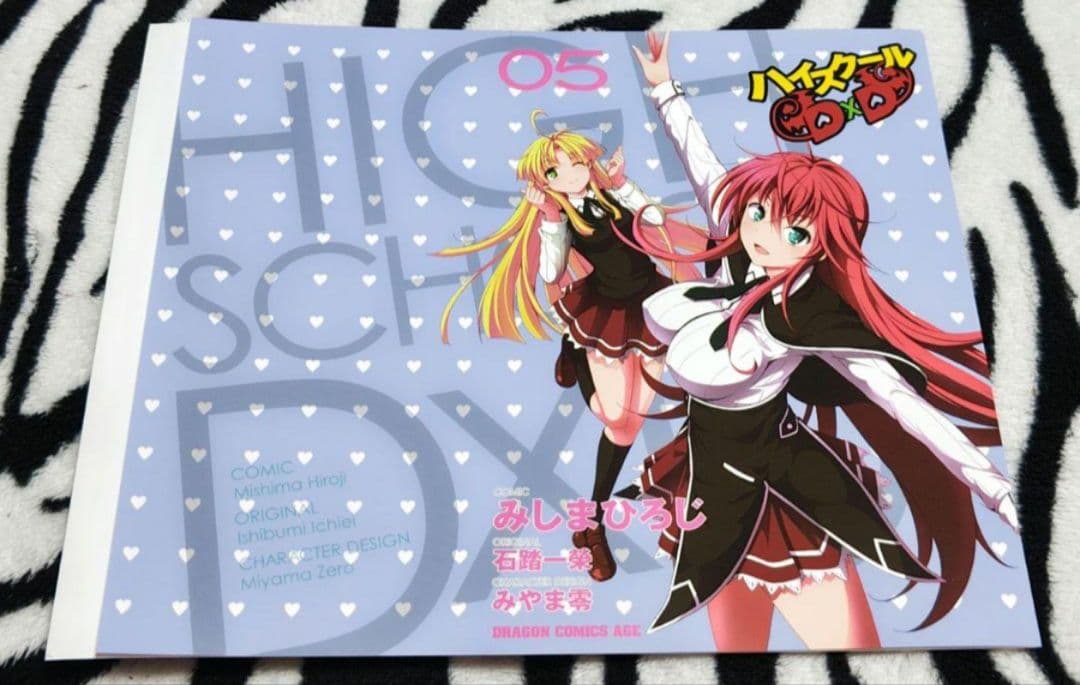 ハイスクールD×D ⑤ ゲーマーズ 特典 ブックカバー NOT FOR SALE