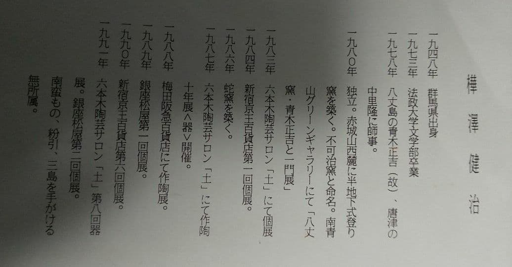 樺澤 健治 南蛮扁壺