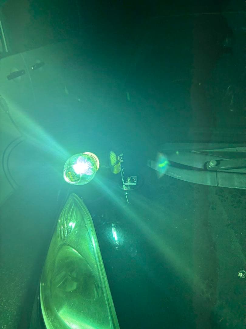 灯火採集　ライトトラップ　100W水銀灯　安定器　ランプホルダー付き