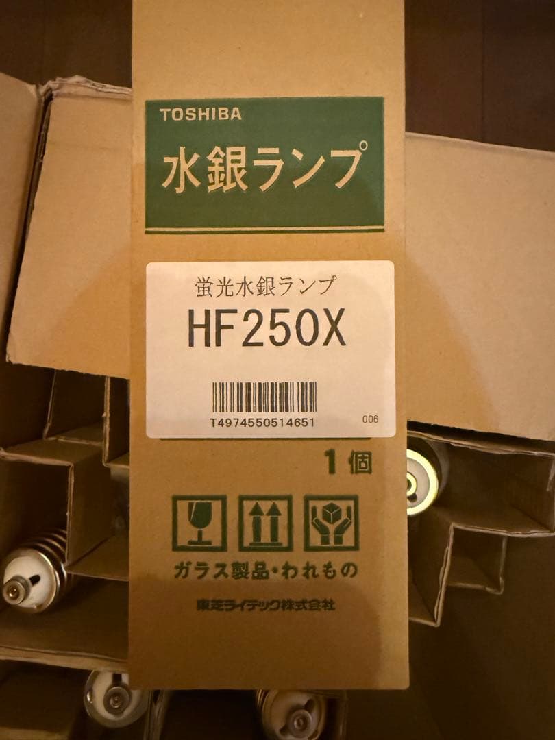 TOSHIBA 水銀ランプ HF250X 12個入り