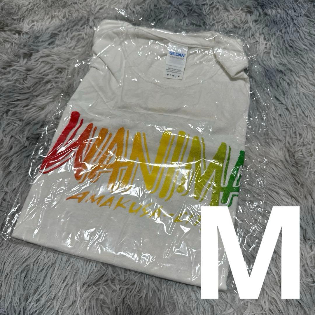 【超希少✨】WANIMA 天草の乱　限定シャツ　半袖　ライブ Tシャツ 新品　M