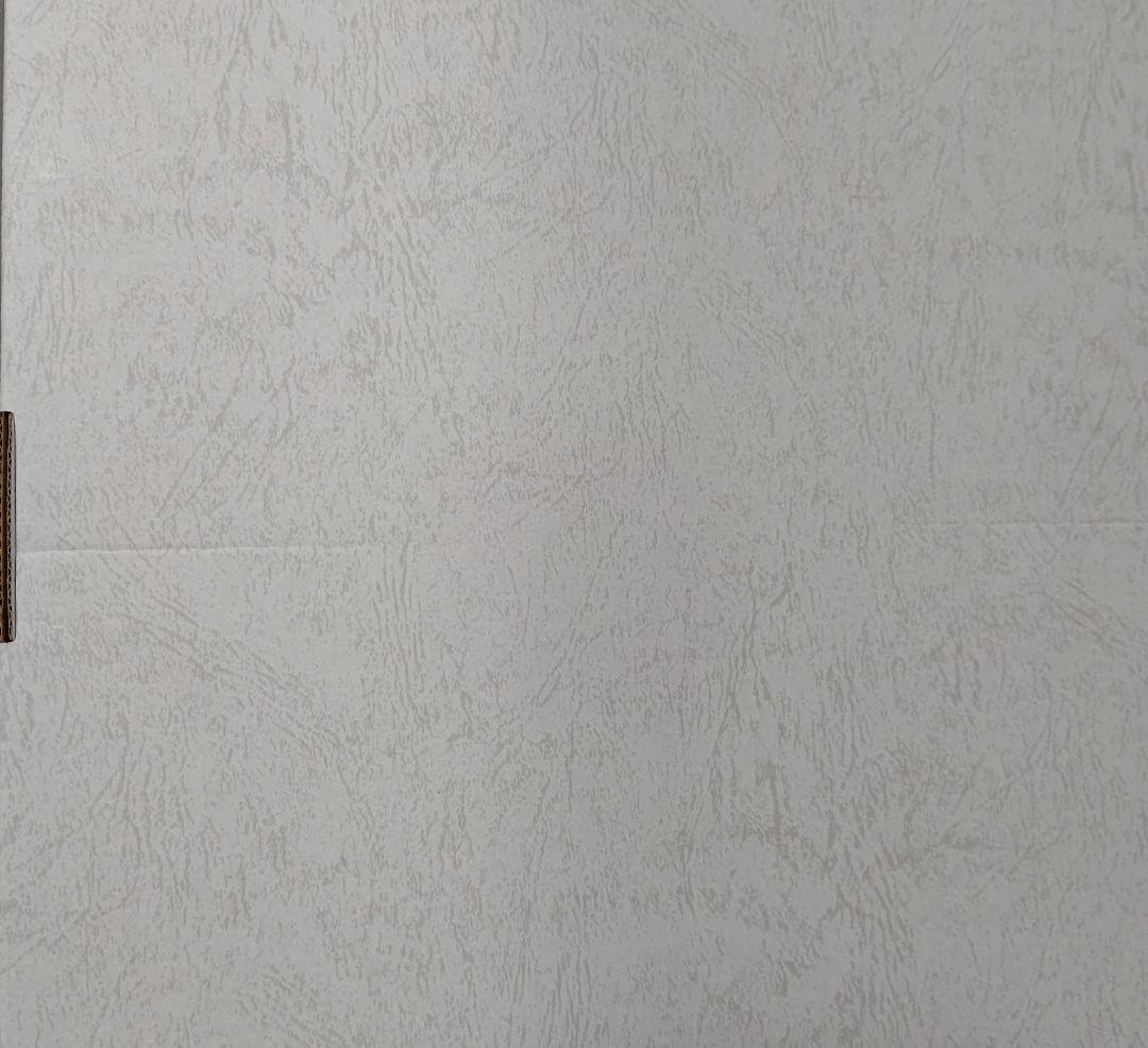 フェアリーテイル