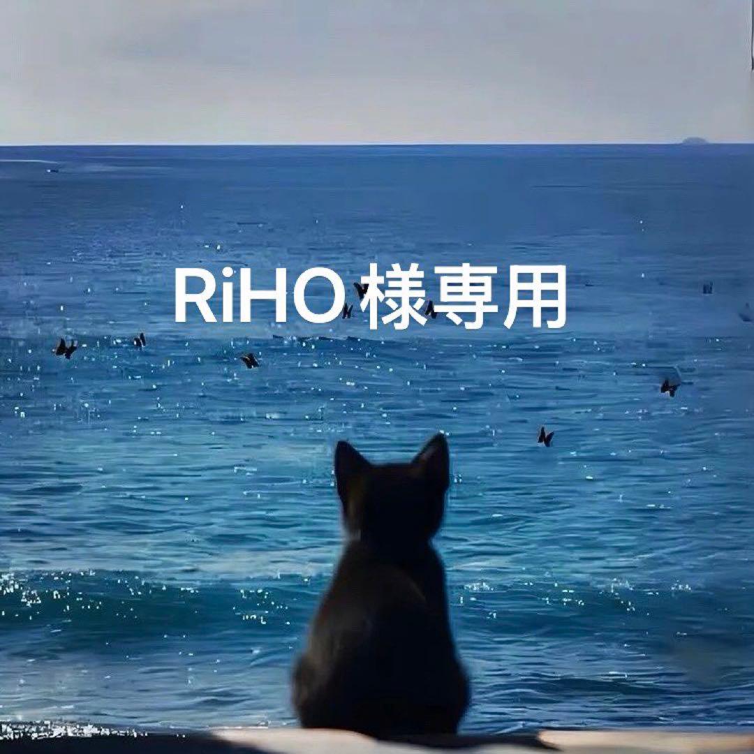 少年漫画 RiHO