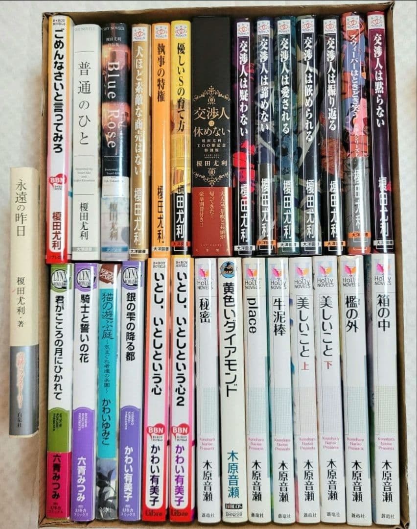 BL 木原音瀬 榎田尤利 かわい有美子 29冊まとめ売り 箱の中 檻の外 交渉人