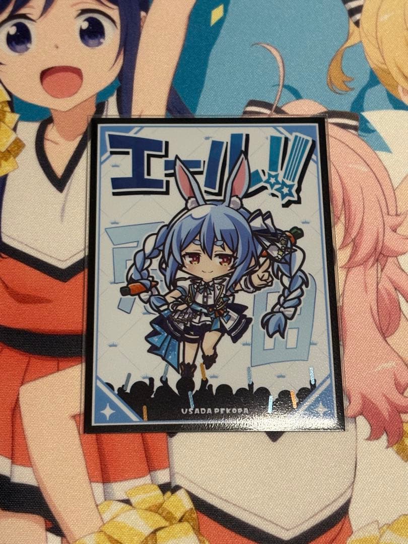 【ホロカ引退】ホロカ まとめ売り