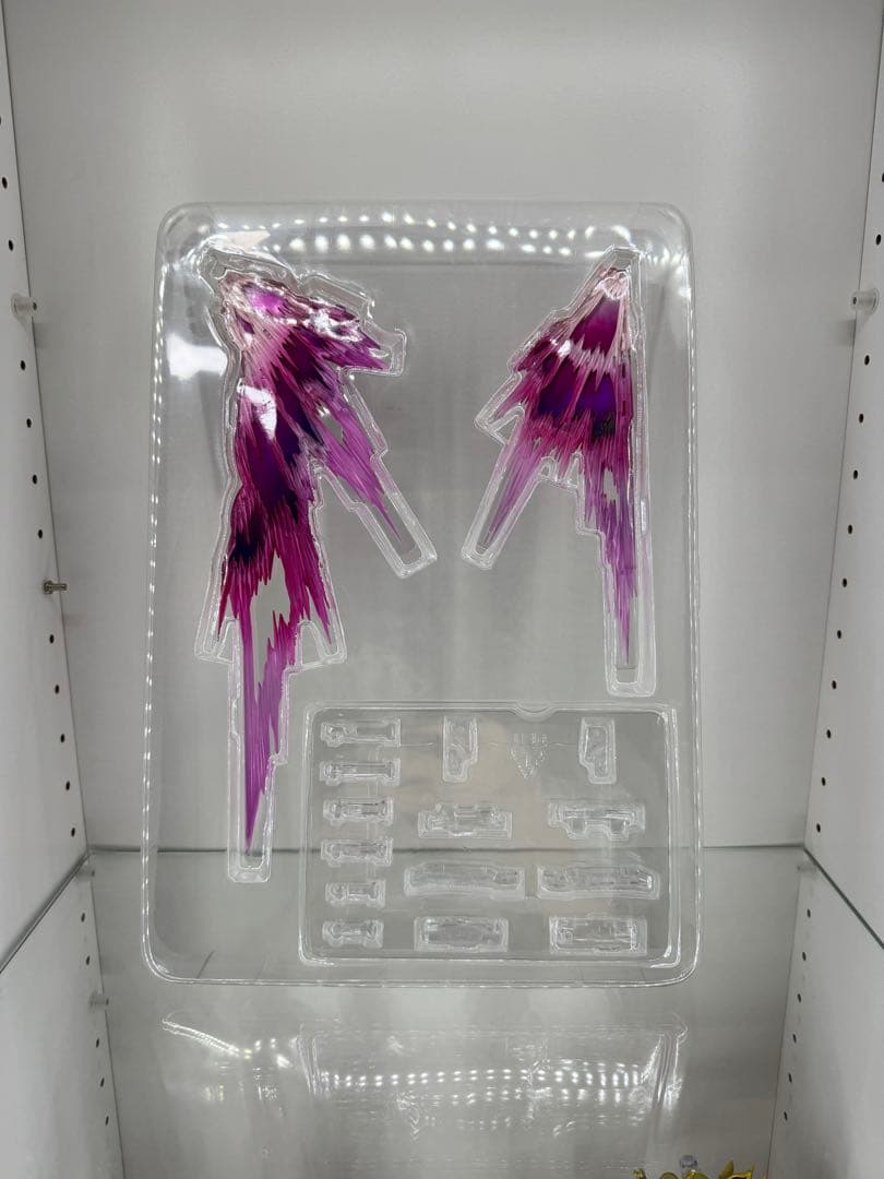 ディスティニーガンダム [L BUILD FESTIVAL 2024