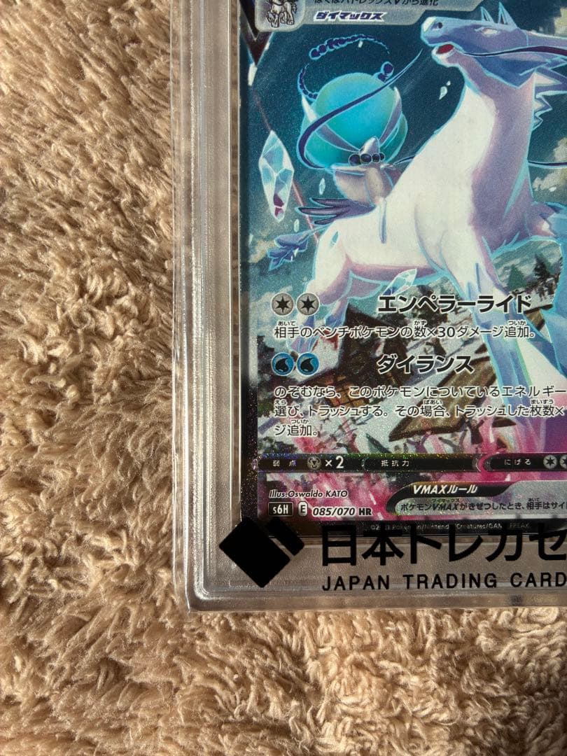 新品未開封　PSA10 はくばパドレックス　ポケモンカード