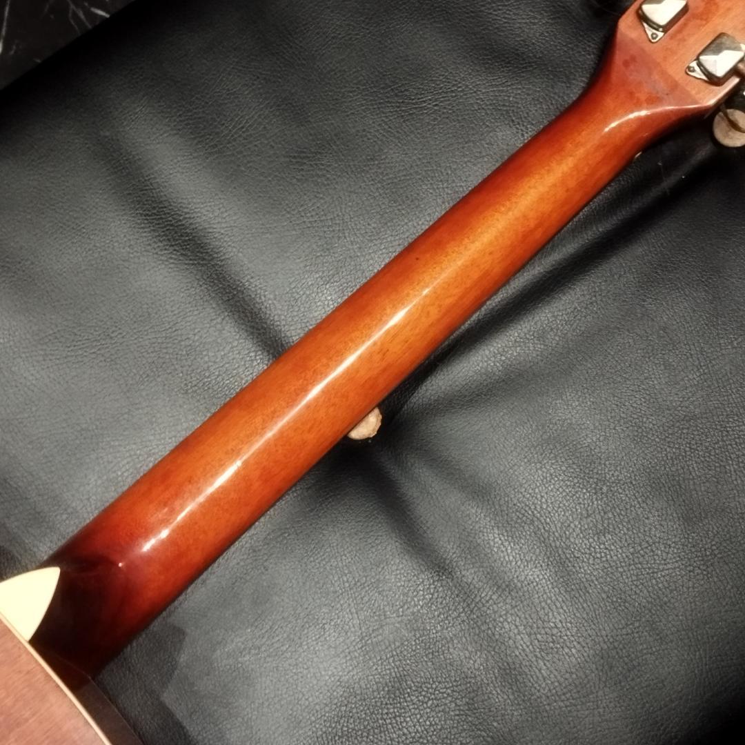 History　アコースティックギター