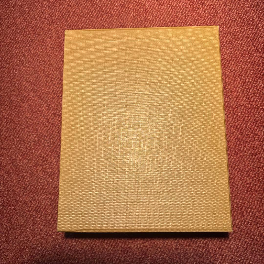 未使用品　ADJUVANT 美顔器ビューティールッソⅡ アジュバン　EMS