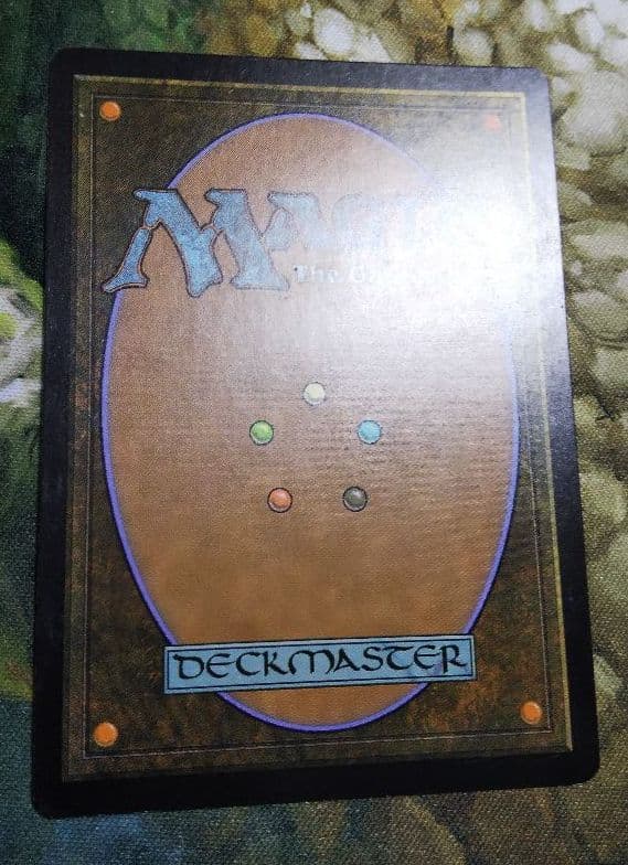 マジック：ザ・ギャザリング MTG Scalding Tarn EXP