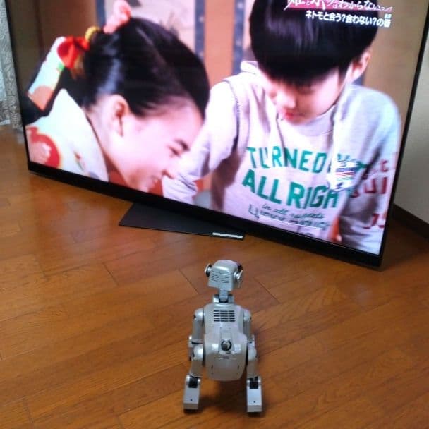 希少／初代AIBO／アイボERS-111／SONY／ソニー／シルバー／動作可