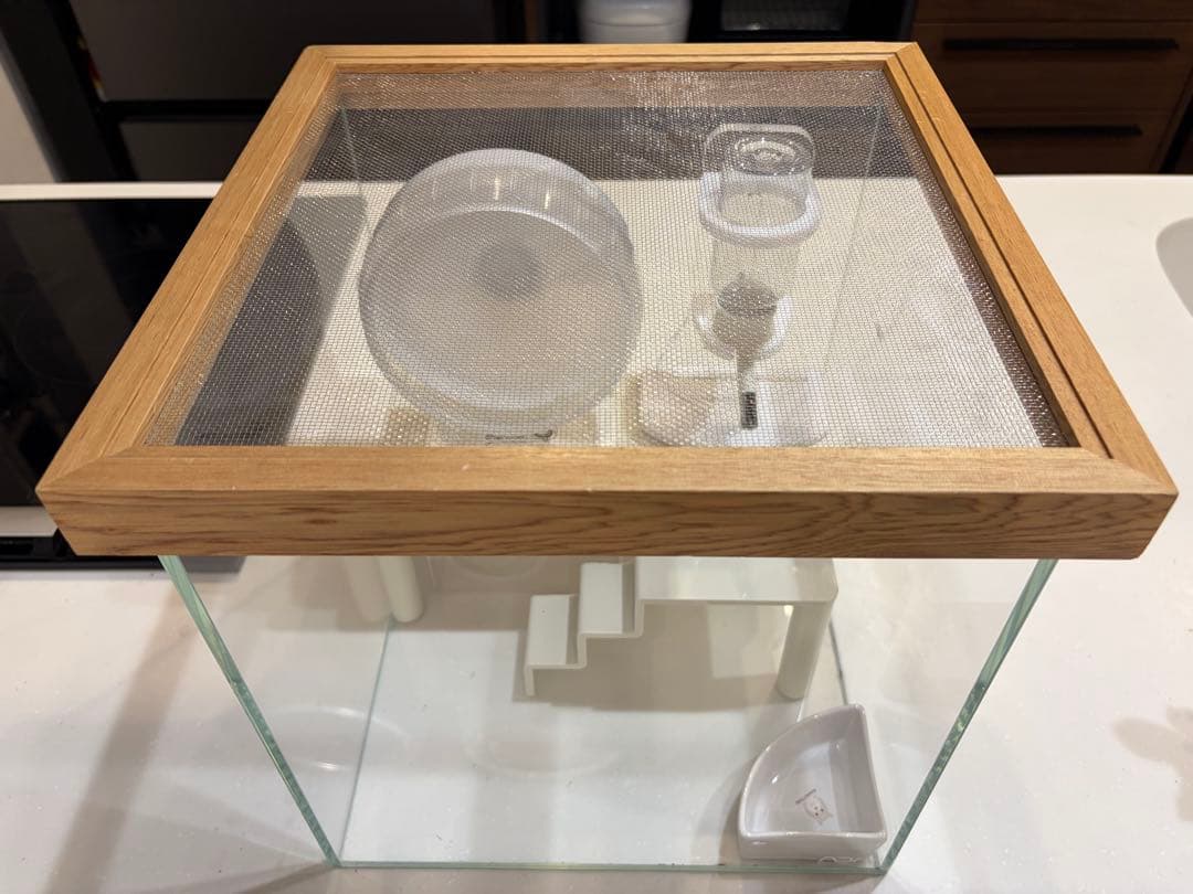 ハムスターケージセット　小動物　水槽　おしゃれ