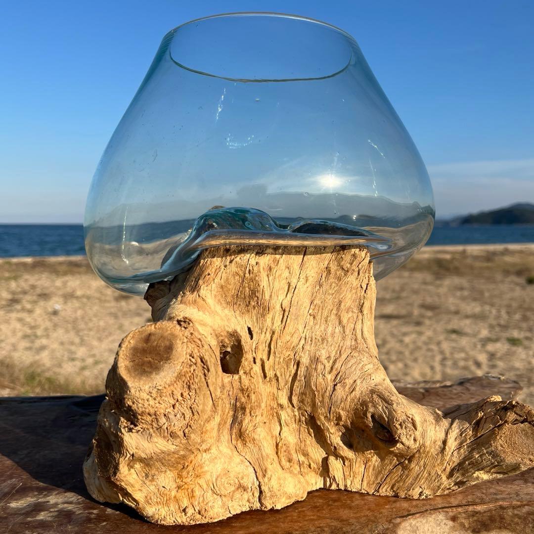 流木ガラス オブジェ超特大J 花瓶 金魚鉢 水槽 テラリウム 観賞魚 メダカ容器