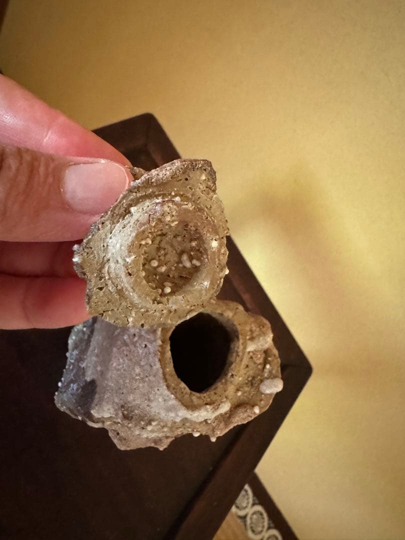 Simon Manoha 茶入　フランス人作家